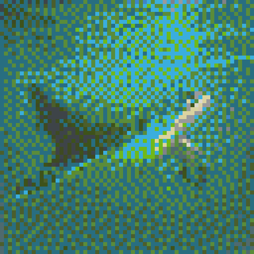 Sea Turtle